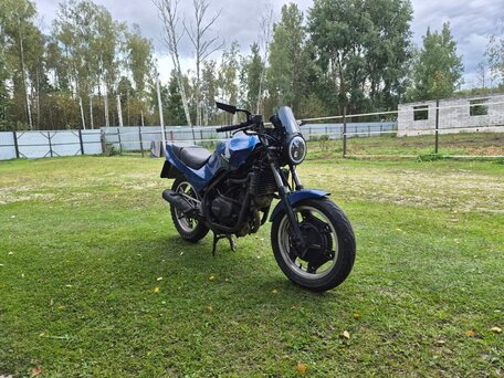 1990 Honda VT 250, синий, 170000 рублей, вид 3