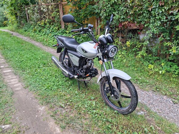 2013 Irbis GS 110, серебристый, 30000 рублей - вид 1