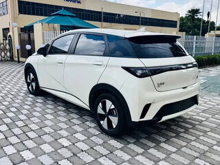 2024 BYD Dolphin 44.9 kWh I, белый, 1100001 рублей, вид 3
