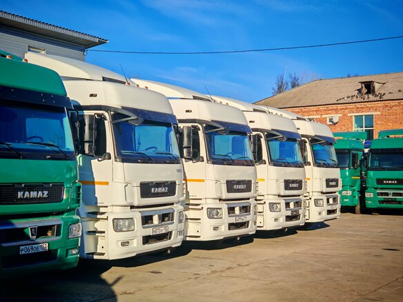 2020 КамАЗ 5490, белый, 1960000 рублей