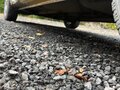 1999 Renault Kangoo I, жёлтый, 169000 рублей - вид 6
