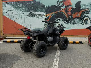 2026 Другие Мотовездеходы (другие), синий, 99800 рублей, вид 3