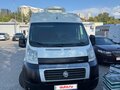 2013 Fiat Professional Ducato, белый, 1900000 рублей