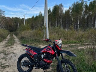 2025 Sharmax Sport, красный, 85000 рублей, вид 5