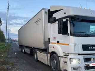 2015 КамАЗ 5490 NEO, белый, 1400000 рублей, вид 4