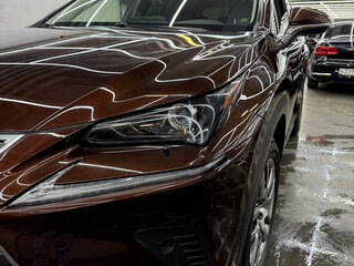 2019 Lexus NX 200 I Рестайлинг, коричневый, 3600000 рублей, вид 2