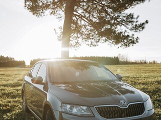 2014 Skoda Octavia III (A7), серый, 1290000 рублей, вид 5