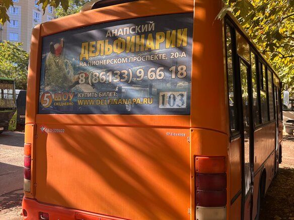 2013 ПАЗ 3204, оранжевый, 350000 рублей - вид 4