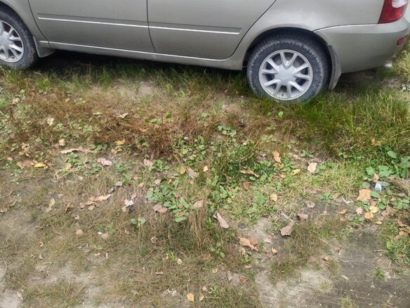 2012 Lada (ВАЗ) Kalina I, бежевый - вид 7
