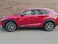 2019 Lexus NX 200 I Рестайлинг, красный, 3650000 рублей - вид 11