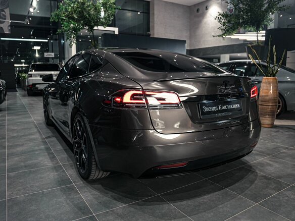 2019 Tesla Model S Performance I Рестайлинг, серый - вид 5