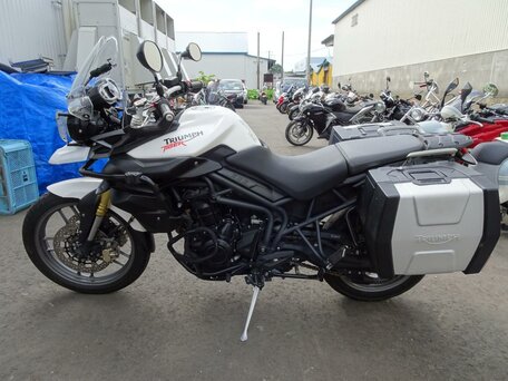 2012 Triumph Tiger 800, белый, 747000 рублей, вид 1