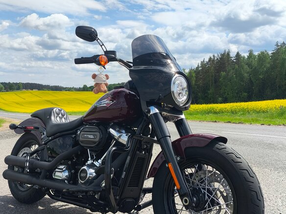 2020 Harley-Davidson Softail Slim, пурпурный, 1450000 рублей