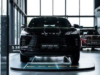 2026 Esteo MX, чёрный, 4290000 рублей, вид 2