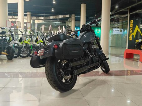 2022 Harley-Davidson Low Rider, серый, 1650000 рублей, вид 4