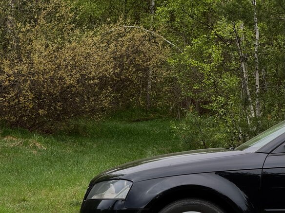 2009 Audi A3 II (8P) Рестайлинг 2, чёрный, 1150000 рублей - вид 6