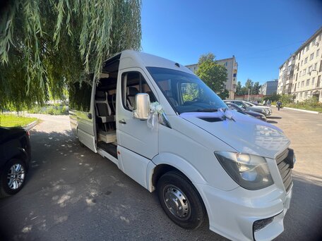 2011 Mercedes-Benz Sprinter, белый, 4100000 рублей, вид 2
