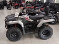 2026 Loncin XWolf 300, серый, 485000 рублей - вид 3