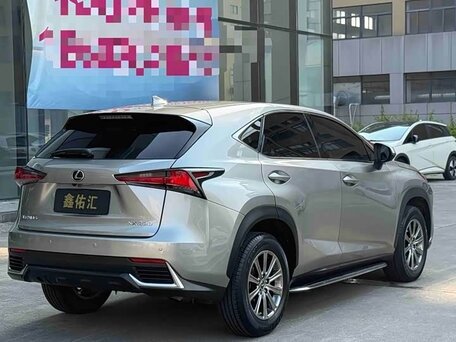 2020 Lexus NX 200 I Рестайлинг, серебристый, 3000000 рублей, вид 3