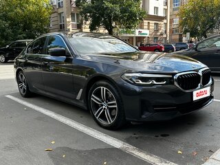 2020 BMW 5 серии 520i VII (G30/G31/G38) Рестайлинг, серый, 4190000 рублей, вид 1