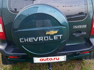 2004 Chevrolet Niva I, зелёный, 300000 рублей, вид 4