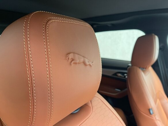 2024 Jaguar F-Pace I Рестайлинг, белый, 4000000 рублей - вид 14