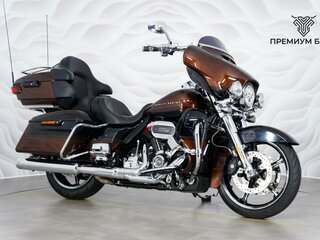 2018 Harley-Davidson CVO, коричневый, 2649000 рублей, вид 5