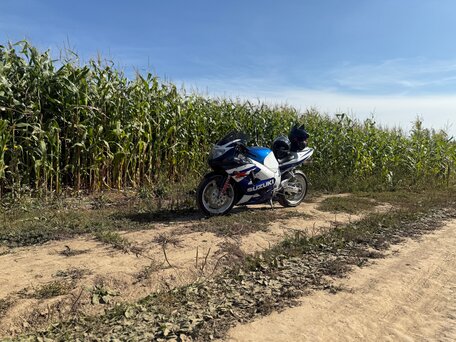 1997 Suzuki GSX-R 600, синий, 310000 рублей, вид 2