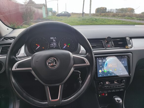 2014 Skoda Rapid I, серый, 780000 рублей - вид 11