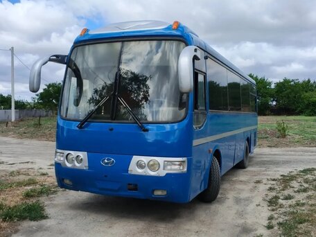2008 Hyundai Aero Town, синий, 800000 рублей, вид 2