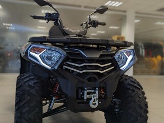 2026 Loncin XWolf 300 Max, серый, 485000 рублей, вид 5