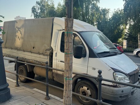 2003 ГАЗ ГАЗель (3302), белый, 250000 рублей, вид 3