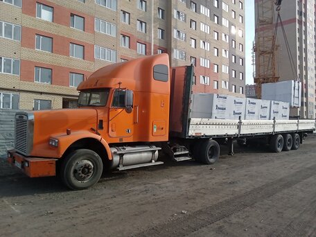 2005 Freightliner FLD, золотистый, 850000 рублей, вид 2