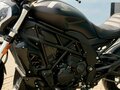 2026 Benelli 502 C, чёрный, 639000 рублей - вид 10