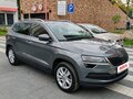 2020 Skoda Karoq I, серый - вид 1