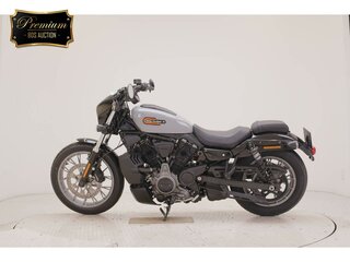 2024 Harley-Davidson Nightster, серый, 1277000 рублей, вид 1