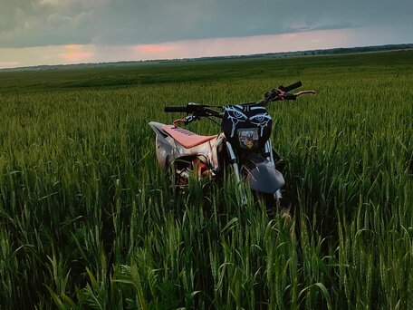 2024 Oxo Pro, чёрный, 65000 рублей, вид 2