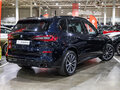 2022 BMW X5 30Li IV (G05/G18), чёрный - вид 6
