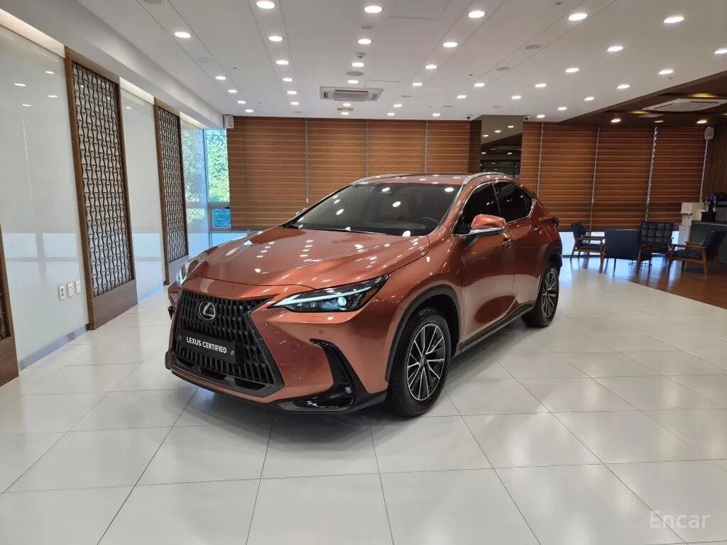 Открыть фотографии: Lexus NX II