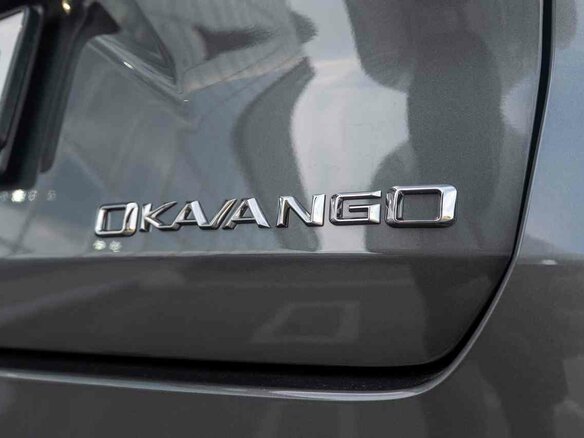 2026 Geely Okavango I Рестайлинг, серый, 4085990 рублей - вид 23