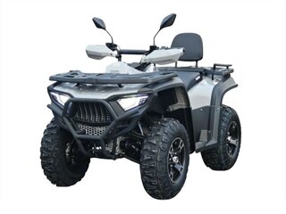 2026 Bashan Explorer 320, серый, 443400 рублей, вид 1