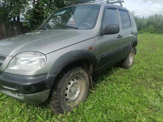 2007 Chevrolet Niva I, серый, 230000 рублей, вид 5