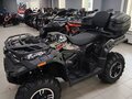 2026 Loncin XWolf 550, чёрный, 775000 рублей - вид 3