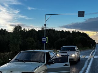 2006 Lada (ВАЗ) 2114, серый, 70000 рублей, вид 4