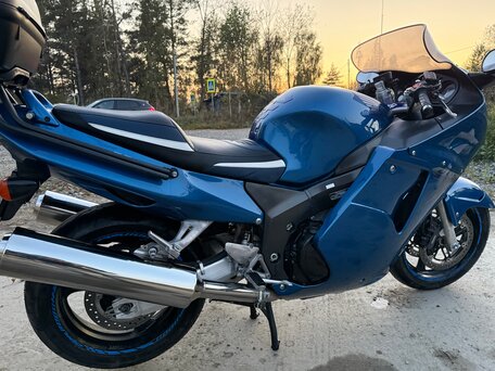 1999 Honda CBR 1100 XX, синий, 480000 рублей, вид 3