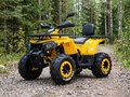 2026 Motoland Wild Track 200, жёлтый, 185200 рублей