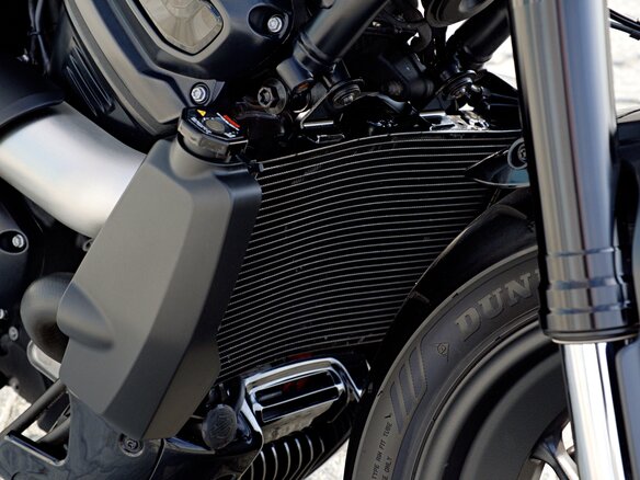 2025 Harley-Davidson Sportster S, синий - вид 25