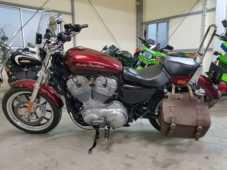 2013 Harley-Davidson Sportster 883, красный, 775000 рублей, вид 1