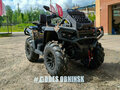2026 AODES (Odes) Pathcross 1000 Mud Pro, коричневый, 1527000 рублей