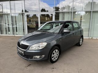 2010 Skoda Fabia II, серый, 393000 рублей, вид 1